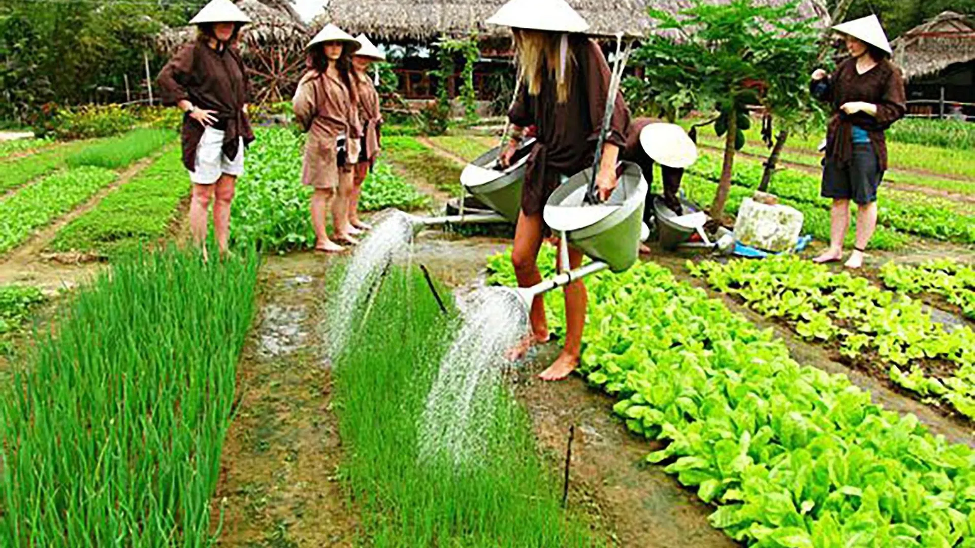 ****  Hoi An Ocean Front Hotel Vietnam