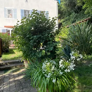 Les Agapanthes Vaux-en-Beaujolais